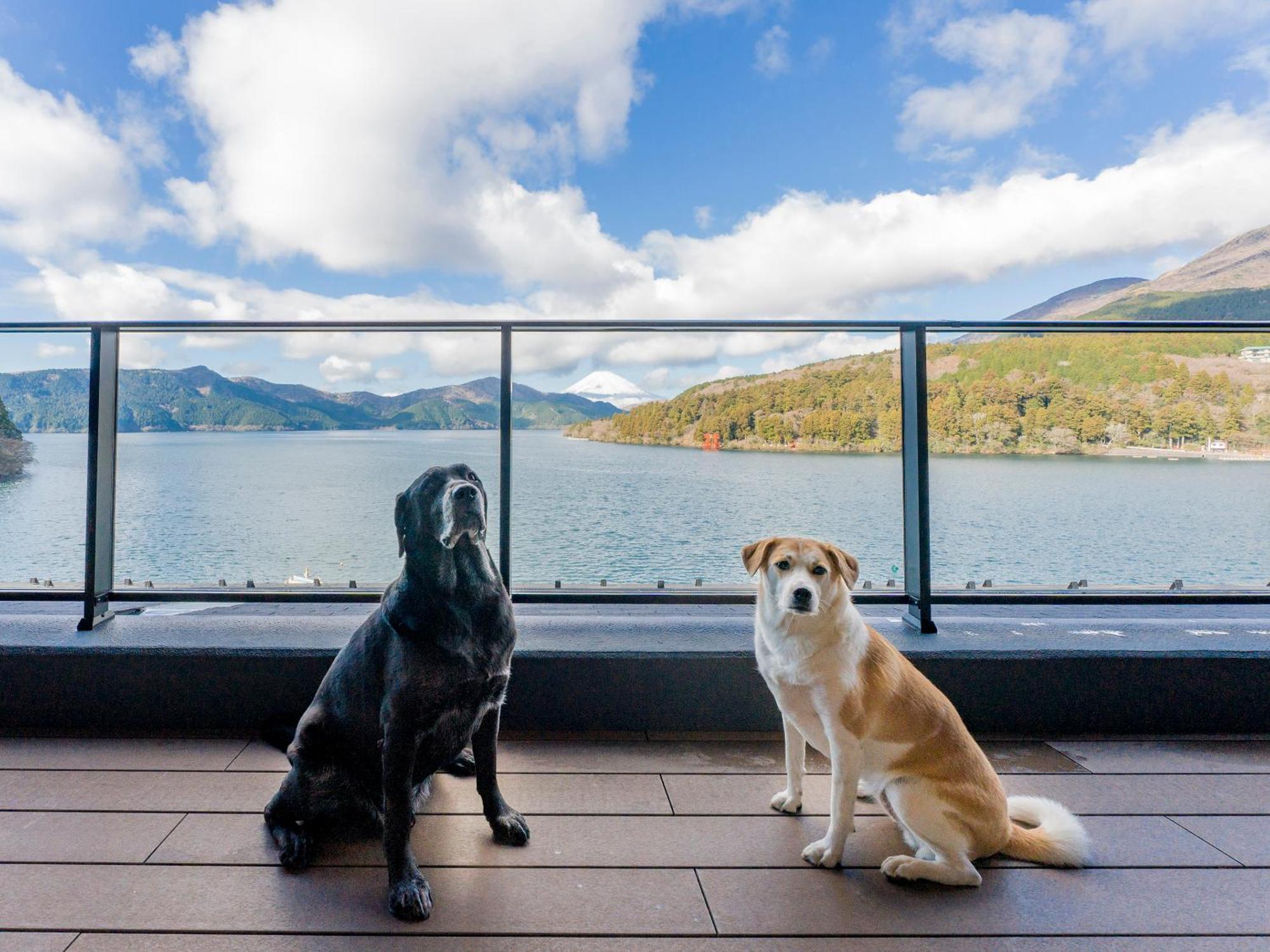 Rakuten Stay Fujimi Terrace Hakone Ashinoko Dış mekan fotoğraf